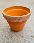| Pot terre · cuite