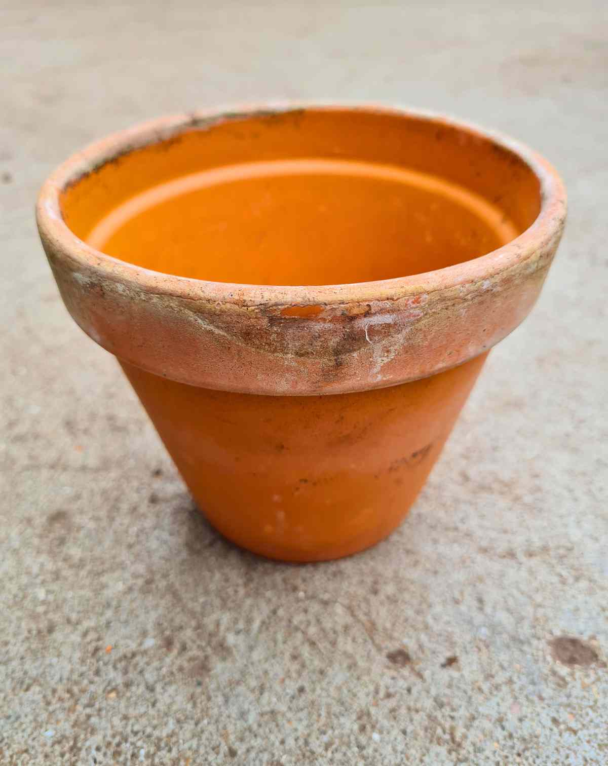| Pot terre · cuite