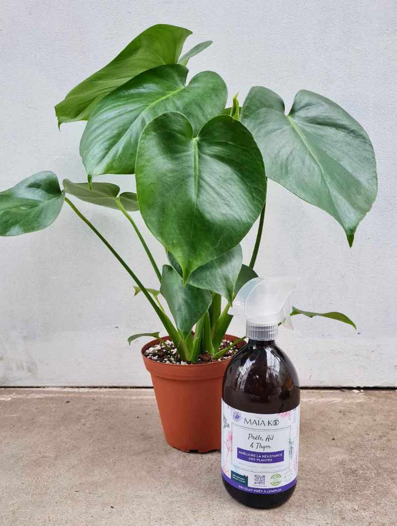 · AÏAKO | soin des — plantes - spray 500ml